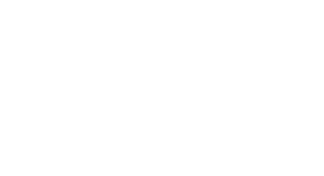 US Mission Logo